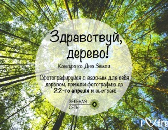 Стартовал конкурс "Здравствуй, дерево!"