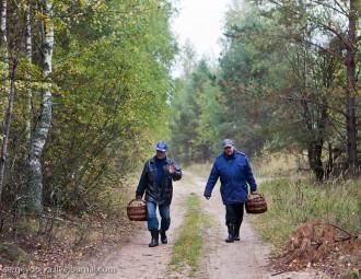 Беларусь запретила украинцам собирать ягоды из-за пожаров