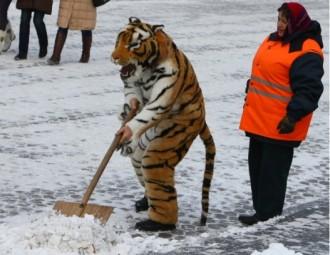 В Беларуси приказано создавать "штабы" для уборки страны - власти готовятся к ЧМ по хоккею