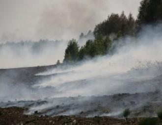 В Лидском районе второй день горит торфяник