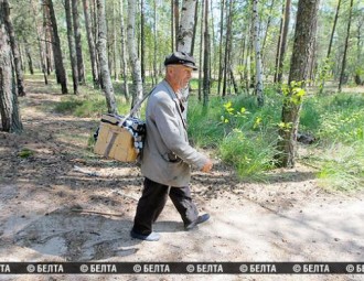 Фотафакт: украінец перайшоў мяжу, каб збіраць у Беларусі грыбы