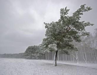 Морозы спадут, но комфортнее не станет