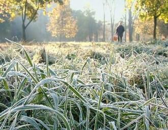 В ближайшие дни - дожди и заморозки