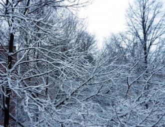 В ближайшие дни температура не опустится ниже -10°С