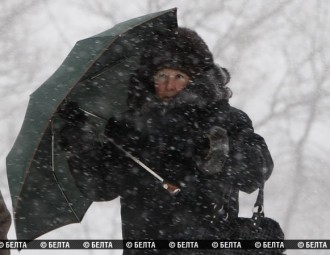 Из-за сильного ветра нарушилось электроснабжение в 251 населенном пункте Беларуси