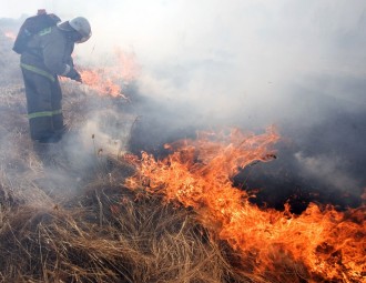 У Чарнобыльскай пушчы ратавальнікі працягваюць тушыць торф