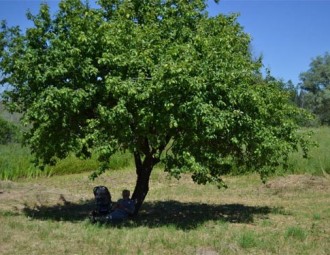 Казка пра Лятучую школу, альбо Гісторыя аднаго захаплення (Фота)