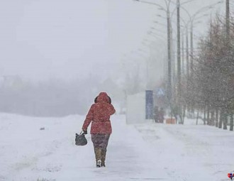 Снегопады и оранжевый уровень опасности: в Беларусь пришел циклон Алекс