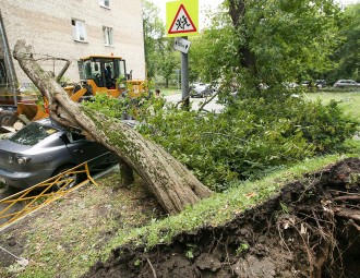 Грозы и шквалистый ветер ожидаются ночью 7 августа в Беларуси