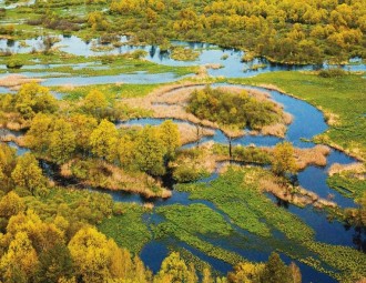 Замежным турыстам у Беларусі трэба паказваць балоты і партызанскі лагер (відэа)