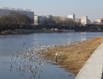 Уровень воды в беларусских реках упал ниже исторического минимума