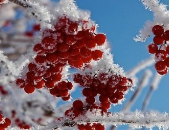 Потепление придет в Беларусь с сильным снегом и гололедицей