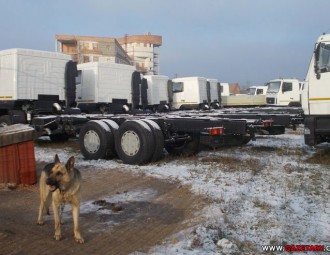 МАЗ не будет работать до 12 января