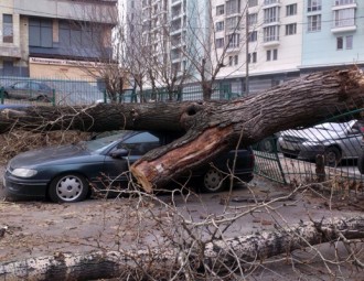 Оранжевый уровень опасности в Минской области объявлен из-за погодных условий