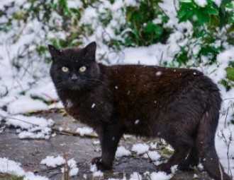 В воскресенье в Беларуси пройдут дождь и мокрый снег