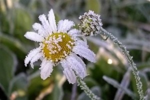 В Беларусь вернутся заморозки