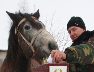 Больш за палову прагаласуе супраць кандыдатаў Лукашэнкі