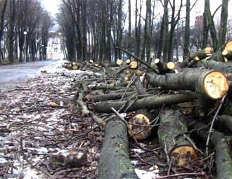 Чыноўнікі не ідуць насустрач абаронцам парка 40-годдзя Кастрычніка