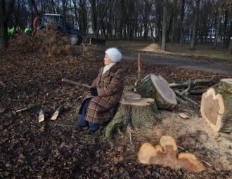 Суд отказался рассматривать дело о вырубке парка 40-летия Октября